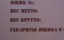 kyrSapluuna